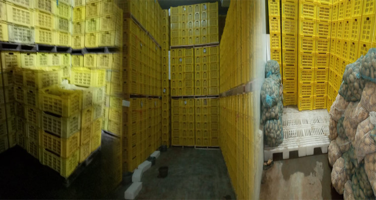 Ben Arous : Saisie de 950 tonnes de pommes de terre