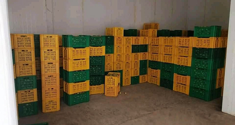 Tajerouine : Saisie de fruits d’une valeur de 431 mille dinars