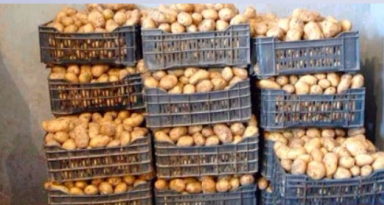 Sfax : Saisie de 45 tonnes de pommes de terre et de pommes