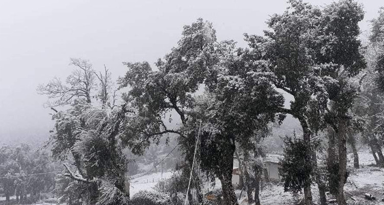 Chutes de neige sur les hauteurs ouest du pays