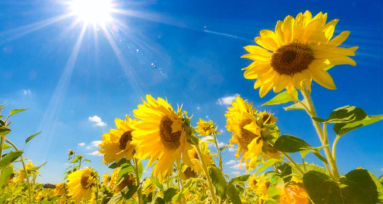 Météo : le vent s’affaiblit
