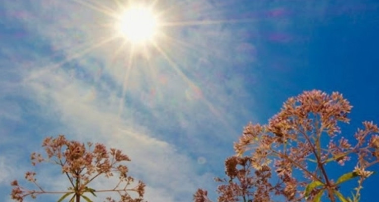 Météo : légère hausse des températures