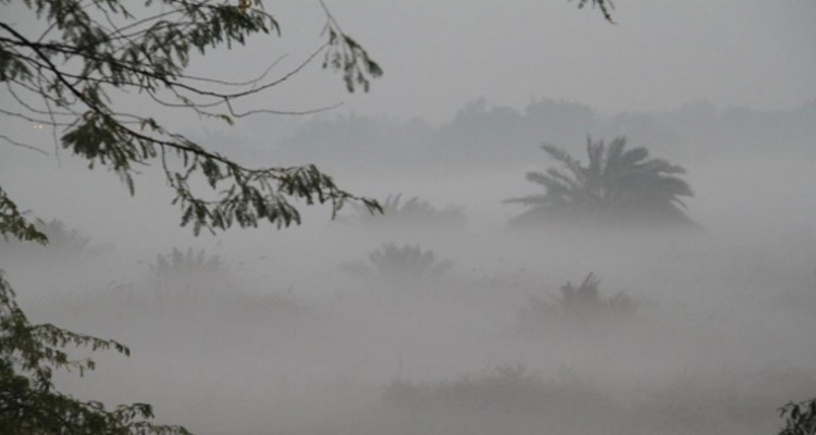 Météo : risque de brouillard