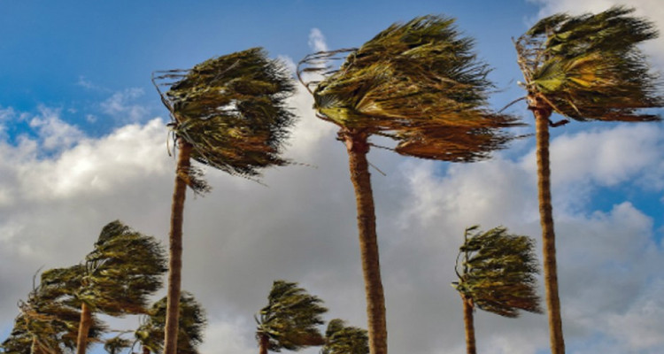 Météo : vents forts et pluies dans certaines régions