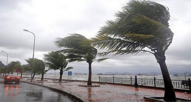 Météo : Vents forts sur la plupart des régions