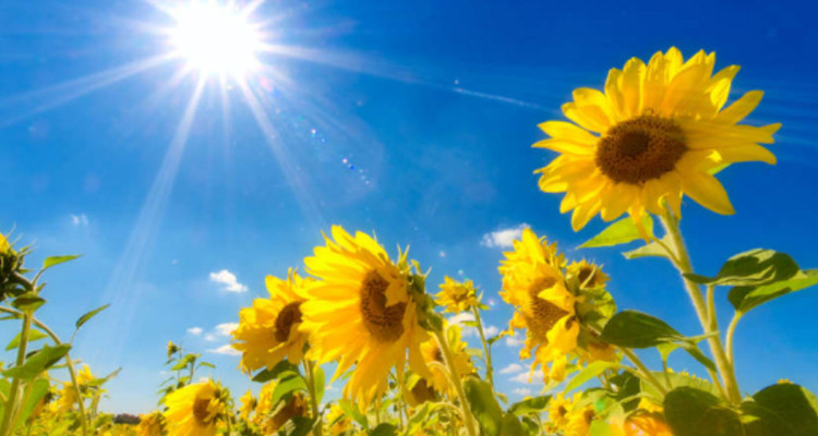 Météo : beau temps sur la Tunisie