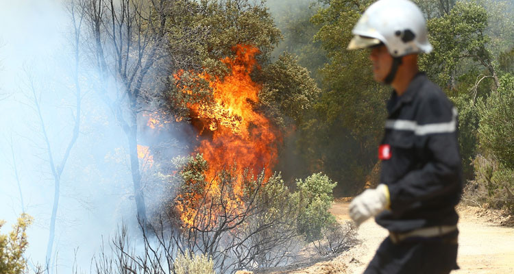 Bizerte : Maitrise d’un incendie dans un entrepôt