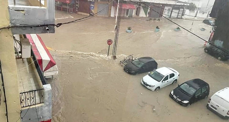 قليبية