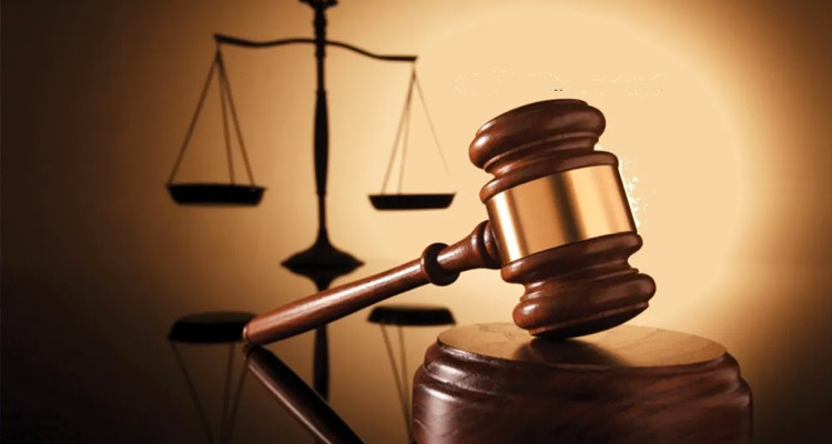 مجلس القضاء العدلي