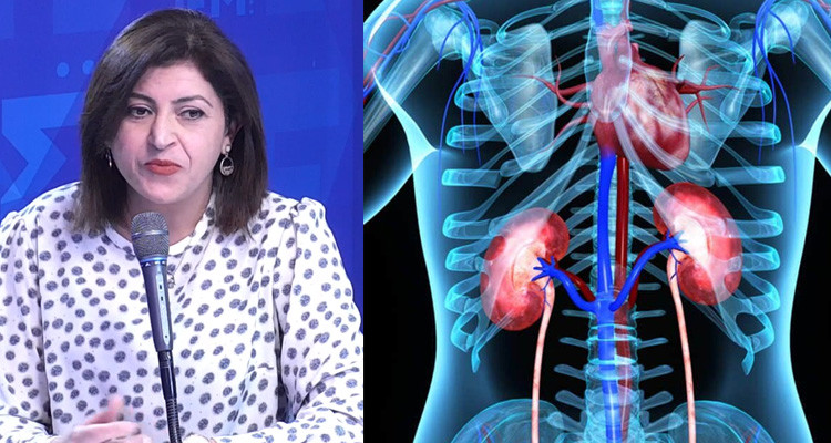 د. درصاف زلامة تكشف أهم أعراض القصور الكلوي المزمن وطرق علاجه