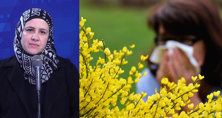 حساسية الربيع