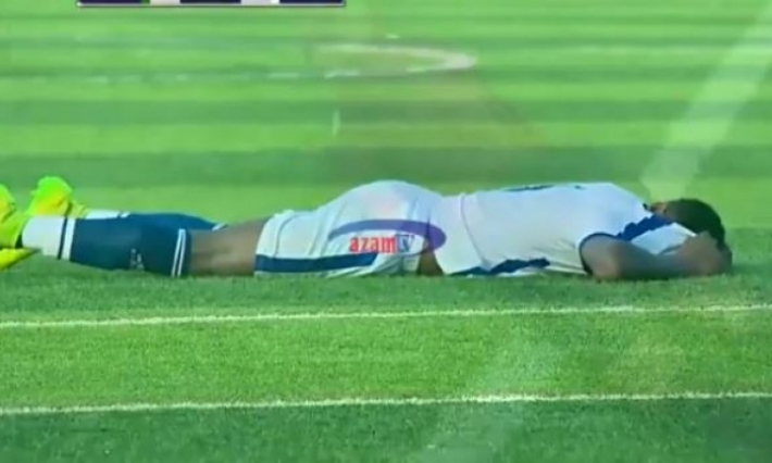 بالفيديو: هجوم نحل يوقف مباراة كرة قدم في تنزانيا