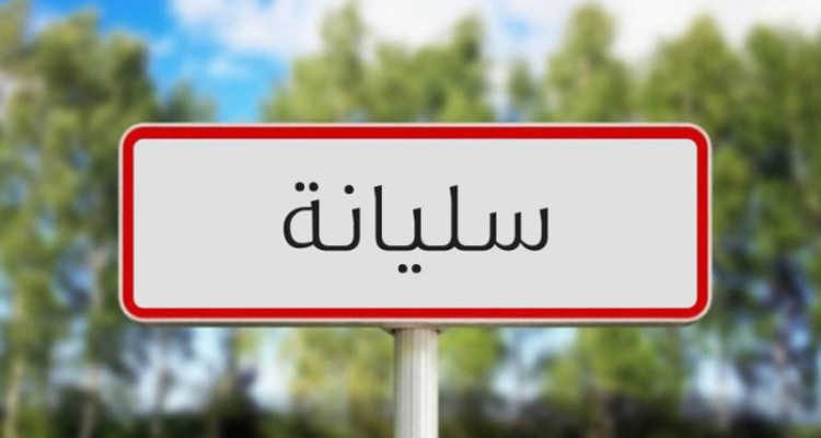 سليانة: حجز 150 علبة سجائر و23 كيسا من الشعير المدعّم