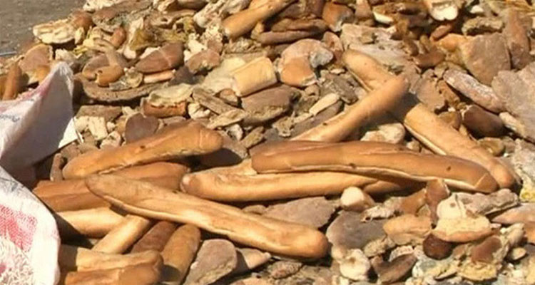 حسام التويتي: 100 مليار قيمة خسائر الخبز التي تتلف سنويا