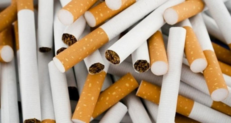قبلي: إحباط عملية تهريب أكثر من 28 ألف علبة سجائر أجنبية