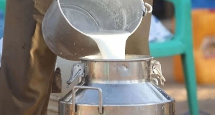 منوبة: غلق مركز تجميع الحليب بعد ضبط مواد كيميائية محجر استعمالها