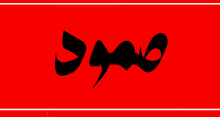 ائتلاف صمود: الاستشارة الالكترونية لم تنجح في استقطاب اهتمام المواطنات والمواطنين