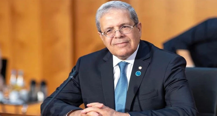 عثمان الجرندي يجري اتصالات هاتفية مع نظرائه في فلسطين والأردن والجزائر