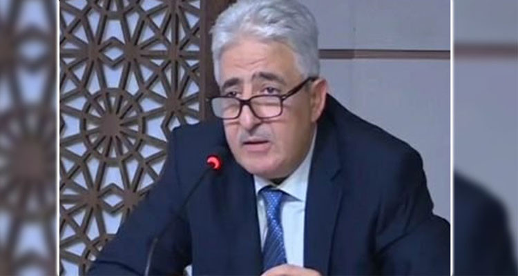 وزير الدفاع يعلن افتتاح التمرين البحري فينيكس اكسبراس 2022
