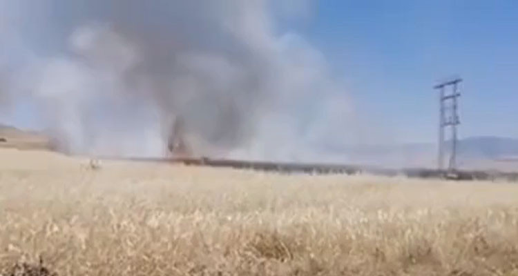 جندوبة: السيطرة على حريق في محصول الشعير