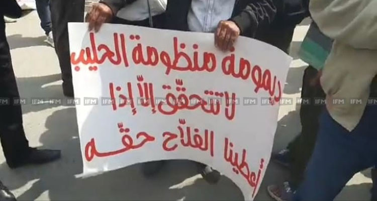 صفاقس: وقفة احتجاجية للفلاحين أمام مقر الولاية على خلفية غلاء أسعار الأعلاف