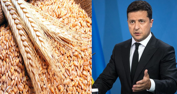 الرئيس الأوكراني يحذر من  أزمة غذائية