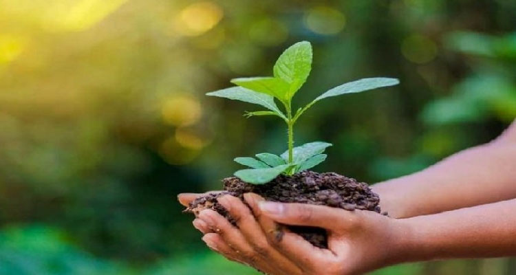 مهدي العبدلي يكشف برنامج اليوم العالمي والوطني للبيئة