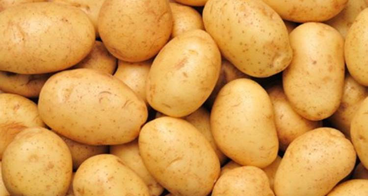نابل: حجز 214 طن من مادة البطاطا