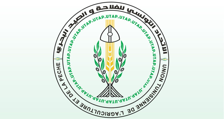 اتحاد الفلاحة يؤكد عدم توفر الأسمدة الضرورية للاستعداد لموسم الحبوب