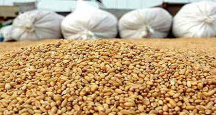 الشبيكة: حجز كمية من مادتي السداري والشعير معدة للاحتكار والمضاربة