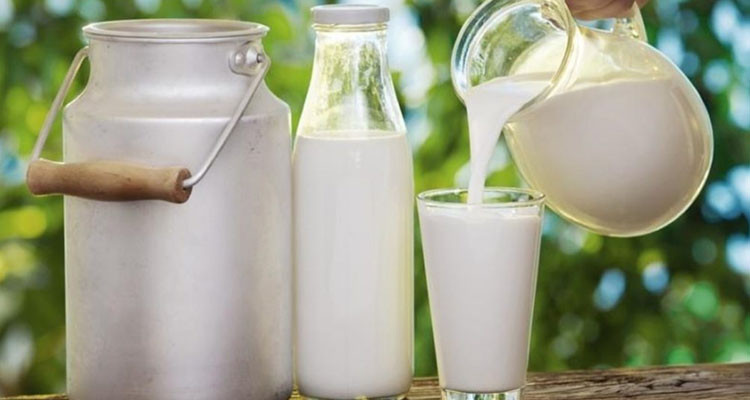 نور الدين بن عياد: ''اقترحنا زيادة بـ800 مليم في أسعار الحليب لدى الإنتاج''