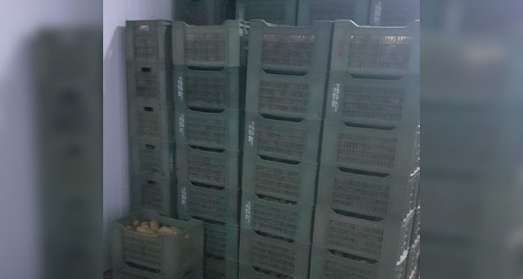 القصرين: حجز  33,680 طنا من مادة البطاطا بمخزن