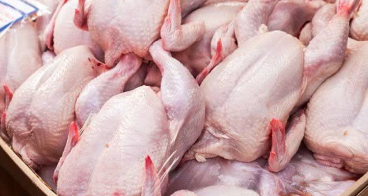 الطاهر النابي: تزويد الأسواق بلحوم الدواجن يعود إلى نسقه العادي