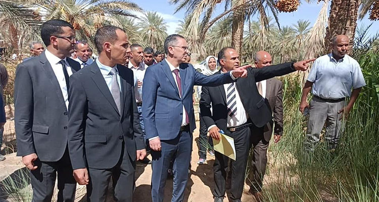 خلال زيارته إلى ولاية قبلي: وزير أملاك الدولة يطلع على مشروع إحياء واستغلال ضيعة الصميدة