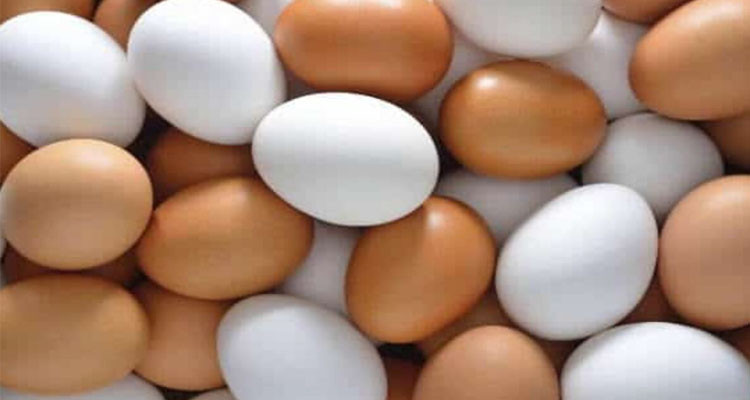 سيدي بوزيد: حجز 30 ألف بيضة بمنطقة فايض
