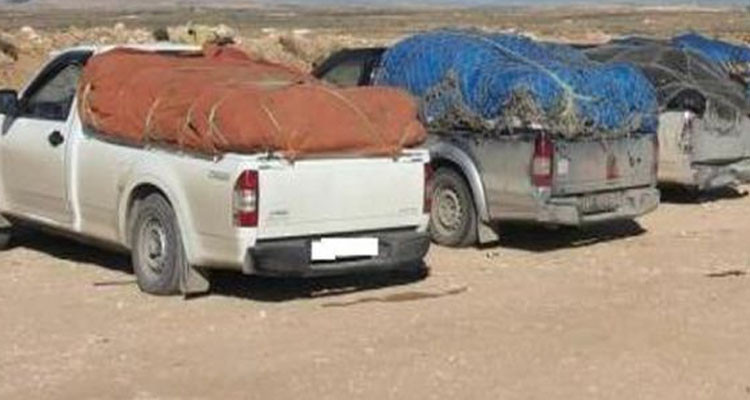 قابس: ضبط شاحنة محملة ببضاعة مهربة