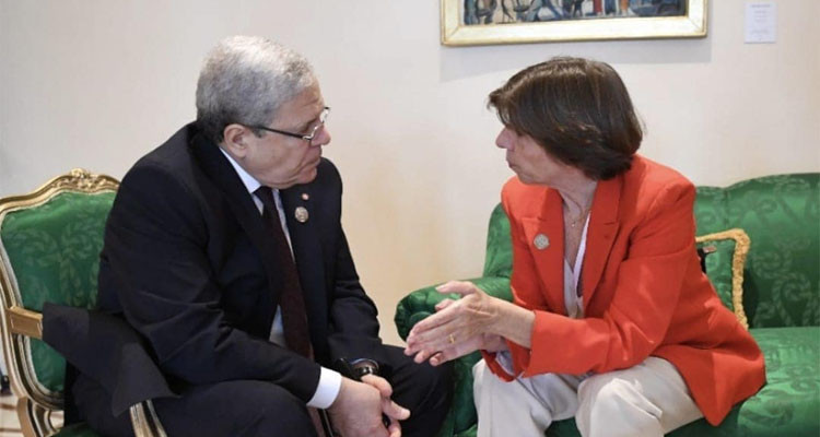 الجرندى يؤكد ضرورة توخي فرنسا مزيد من المرونة في إجراءات منح التأشيرة للتونسيين