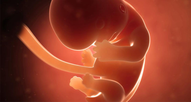 أجنة غير مكتملة النمو مدفونة داخل أصيص ببنزرت: الاحتفاظ بطبيب صاحب عيادة خاصة