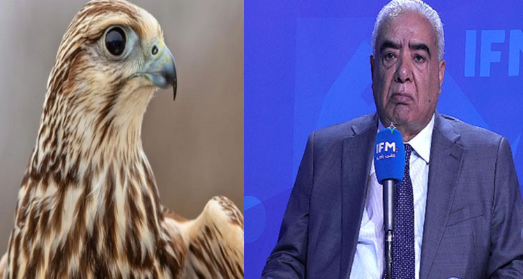 عبد الحميد الكزة: ''أحد تجار المخدرات في ليبيا أهدى ابن حفتر صقر قيمته 3 مليارات''