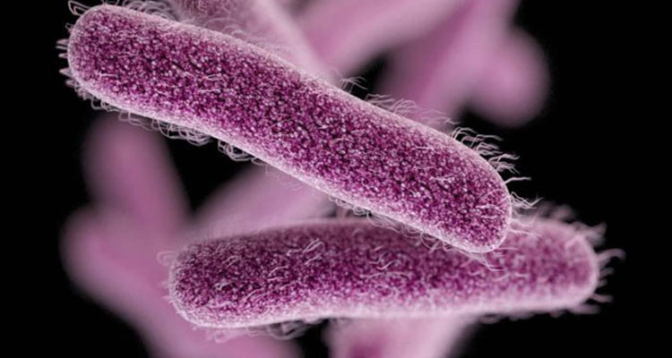 تطاوين: تسجيل أول إصابة بجرثومة ''شيغيلا'' لطفلة ليبية