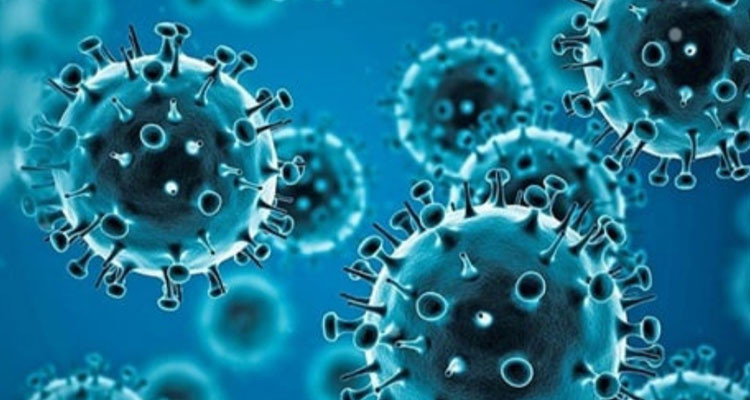 اللجنة العلمية تحذّر من موجة جديدة لانتشار فيروس كورونا في جانفي القادم