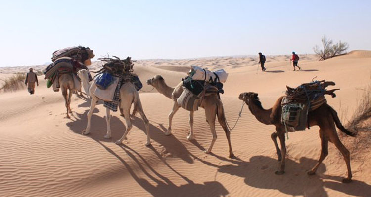 قبلي: تسجيل مؤشرات إيجابية  في القطاع السياحي