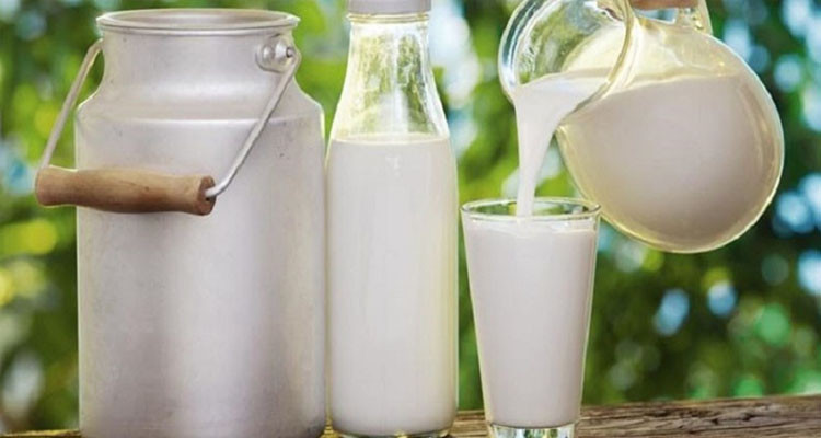 نائب رئيس اتحاد الفلاحين يعلن انتهاء المخزون الاستراتيجي للحليب