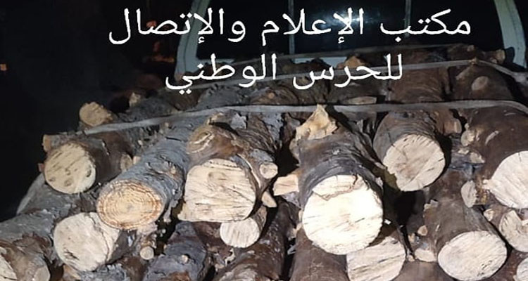 القصرين: الإحتفاظ بشخصين من أجل قطع ونقل 30 شجرة من الصنوبر الحلبي دون رخصة