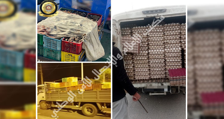 العاصمة:  حجز 27 ألف بيضة و05 أطنان من التفاح