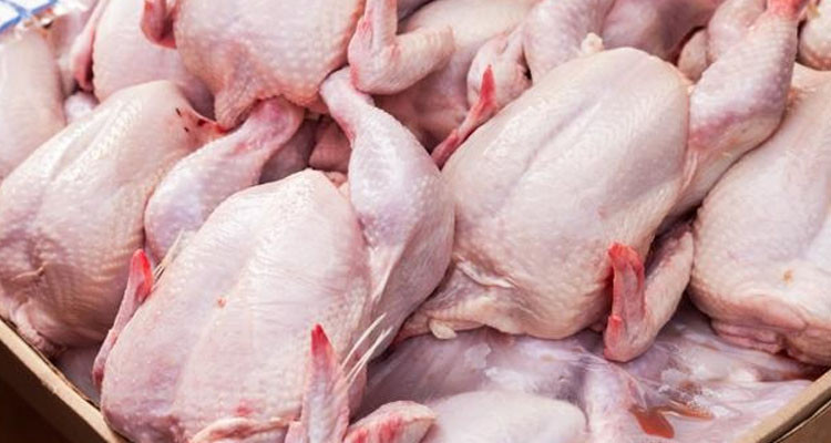 بمناسبة رأس السنة: التخفيض في أسعار الدواجن