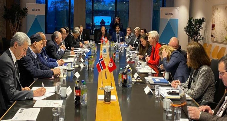 وزير الاقتصاد يؤكد على توفر فرص هامة للاستثمار في تونس في الطاقات المتجددة والهيدروجين الأخضر