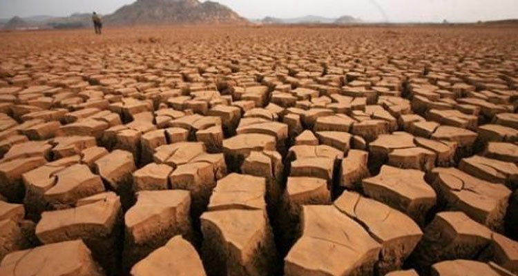 الحكومة تضبط قائمة الولايات المجاحة جراء الجفاف