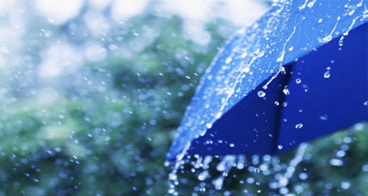 اليوم: أمطار متفرقة رعدية ببعض المناطق