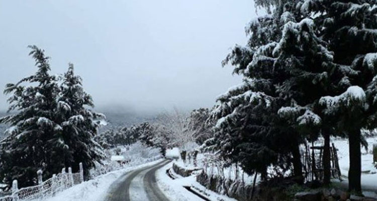 نشرة متابعة: طقس بارد وتساقط الثلوج بولايات جندوبة والكاف وسليانة والقصرين